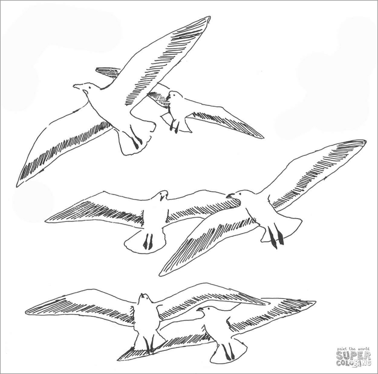Printable Seagull Coloring Page for Kids
