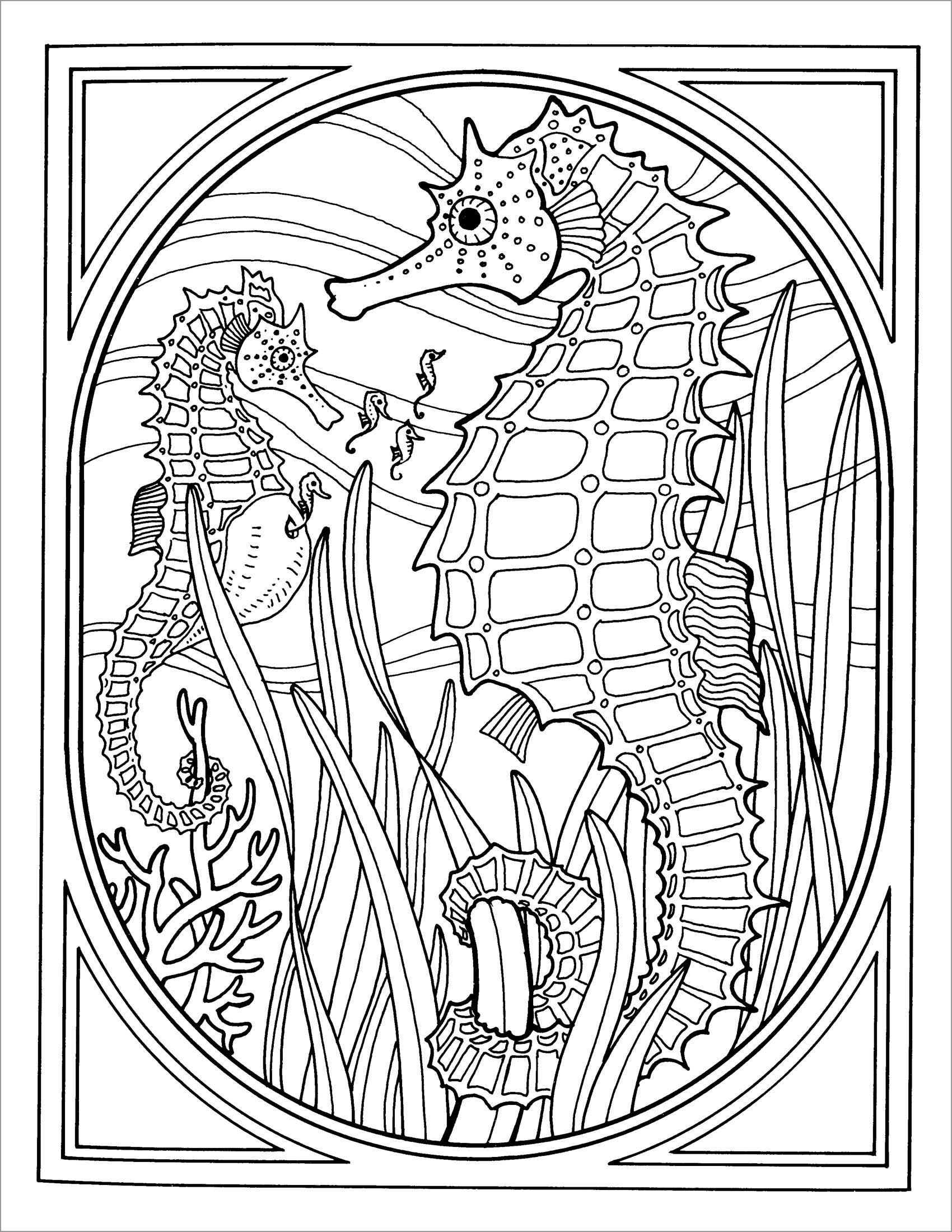 Printable Seahorse Coloring Page for Adult