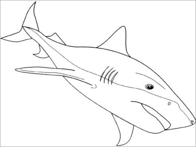 printable-shark-coloring-page-for-kindergarten-coloringbay