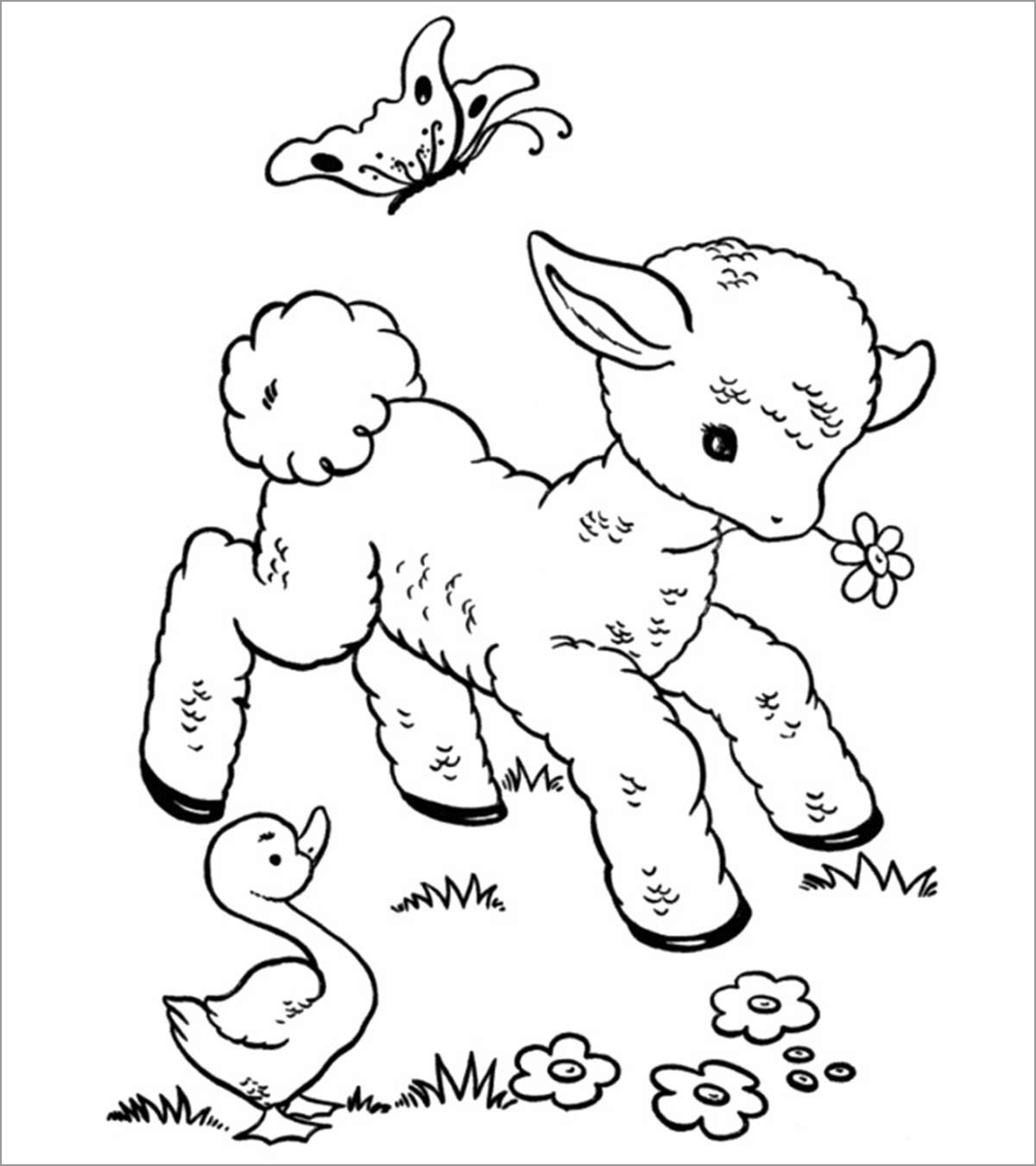 Printable Sheep Coloring Pages