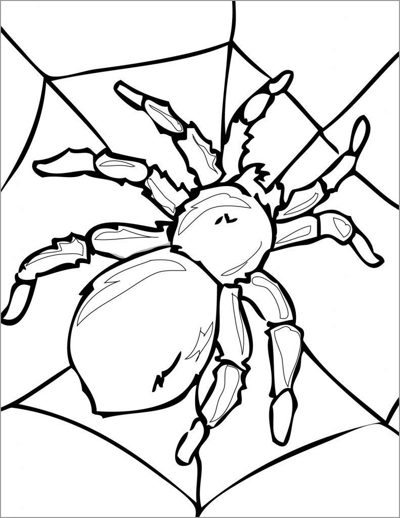Printable Spider Coloring Page to Print