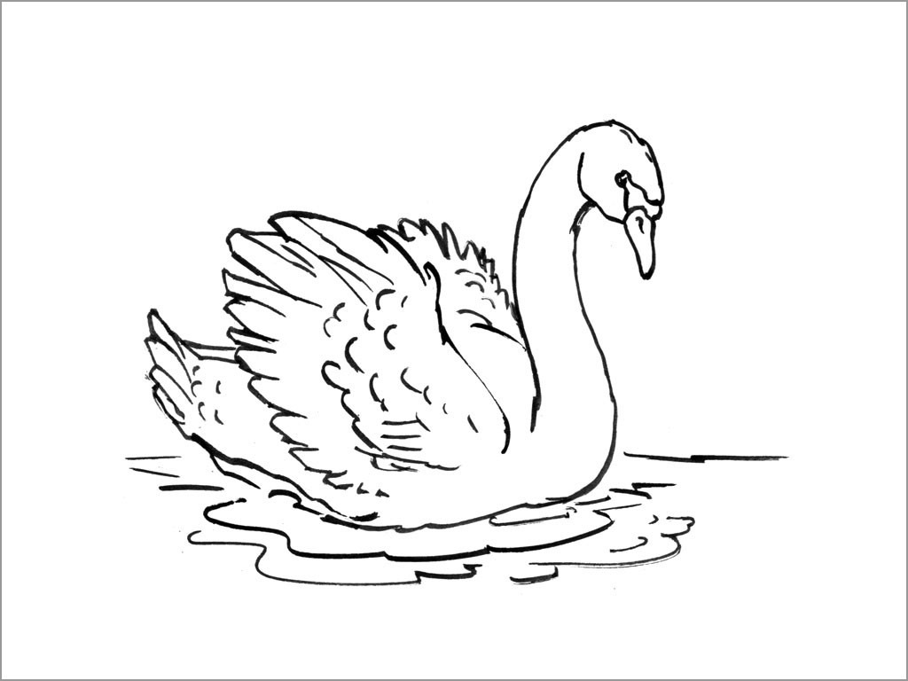 Printable Swan Coloring Page to Print