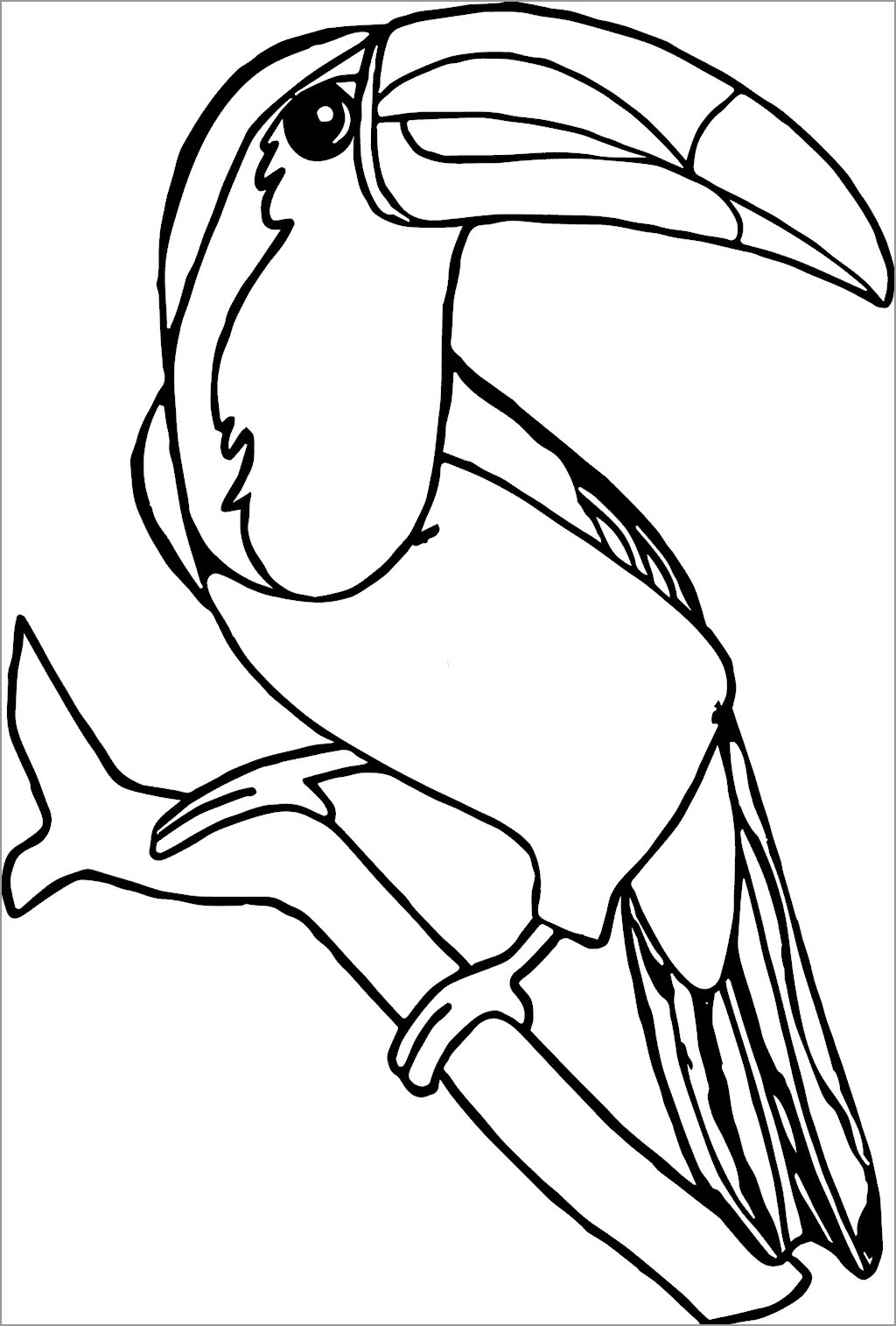 Toucan Coloring Pages ColoringBay