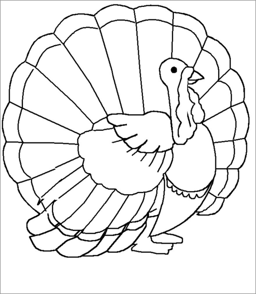 Printable Turkey Coloring Pages for Preschoolers