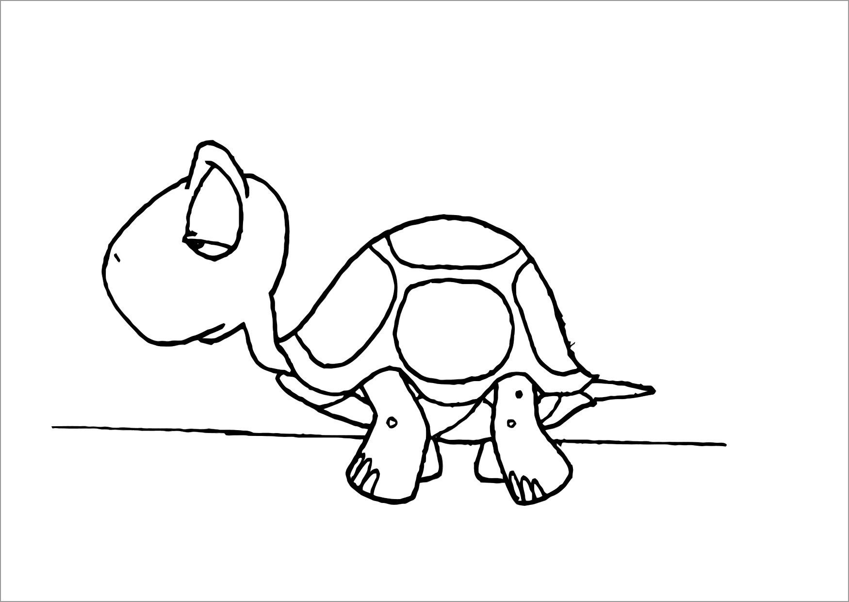 Printable Turtle Coloring Pages for Kids   ColoringBay