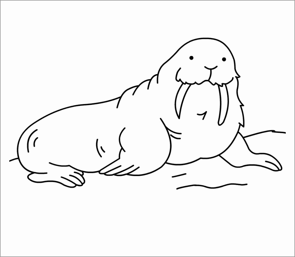 Printable Walrus Coloring Pages for Kids