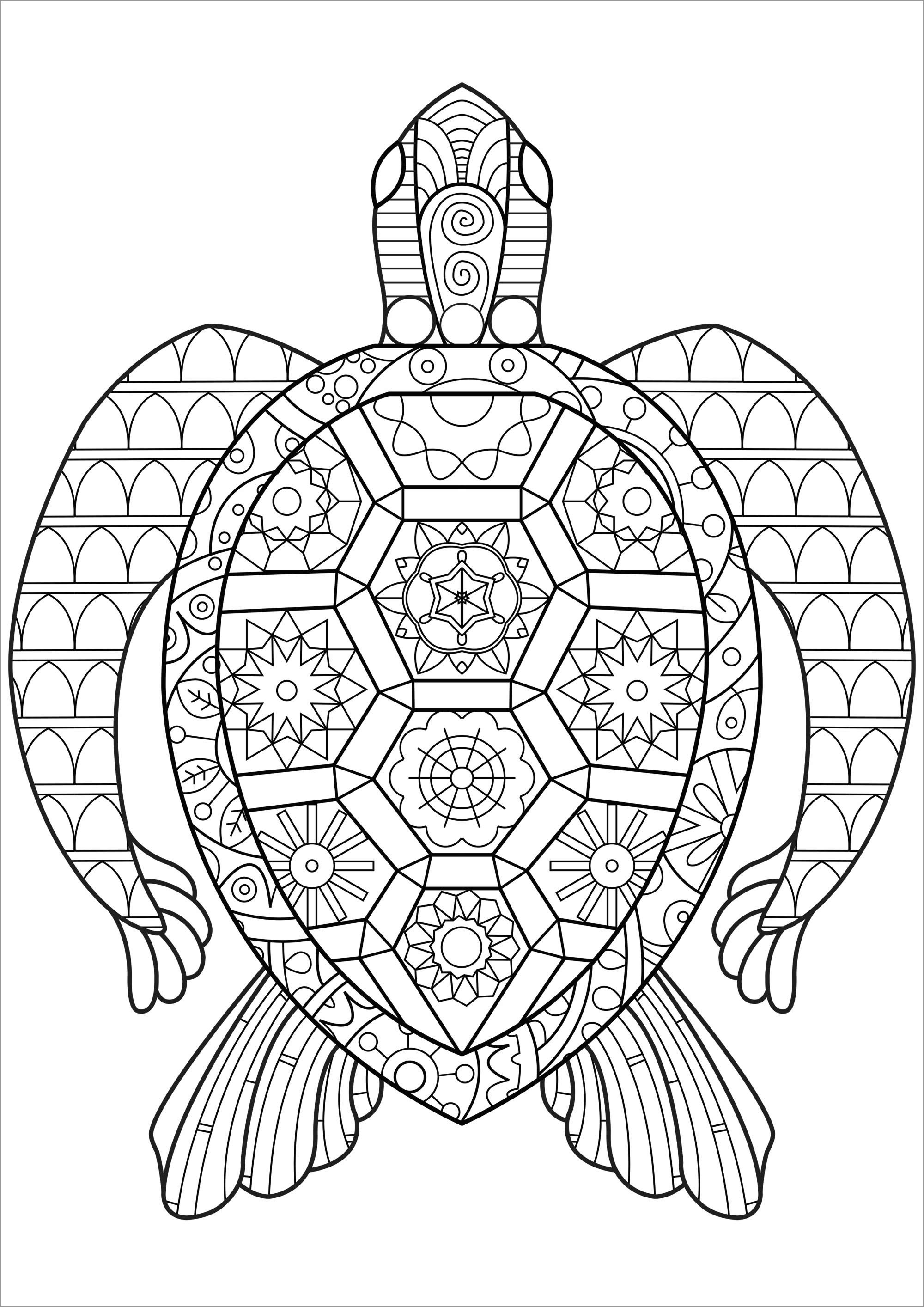 Printable Zentangle tortoise Coloring Page   ColoringBay