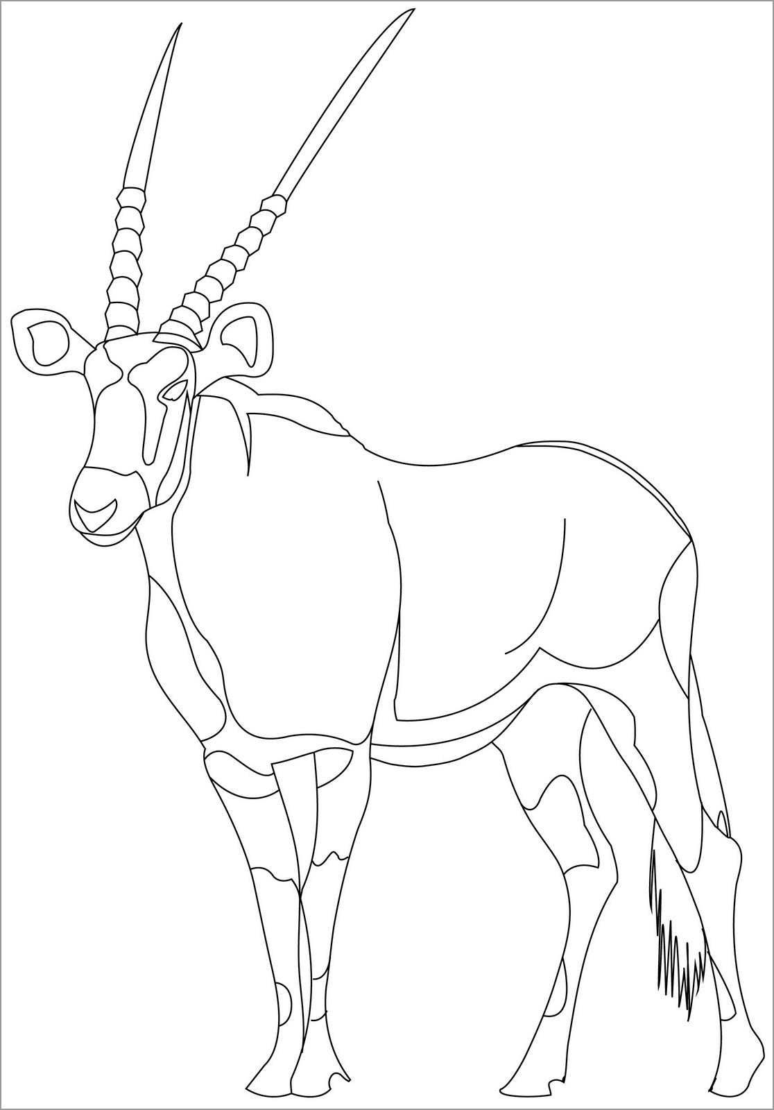 Pronghorn Antelope Coloring Pages