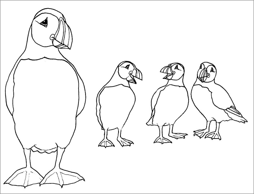 Puffins Coloring Page to Print