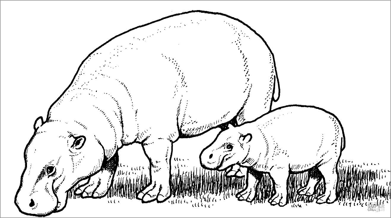Pygmy Hippopotamus Moms and Baby Coloring Page