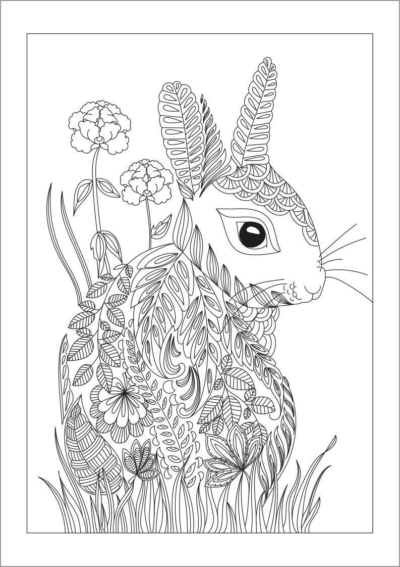 Rabbit Coloring Pages - ColoringBay