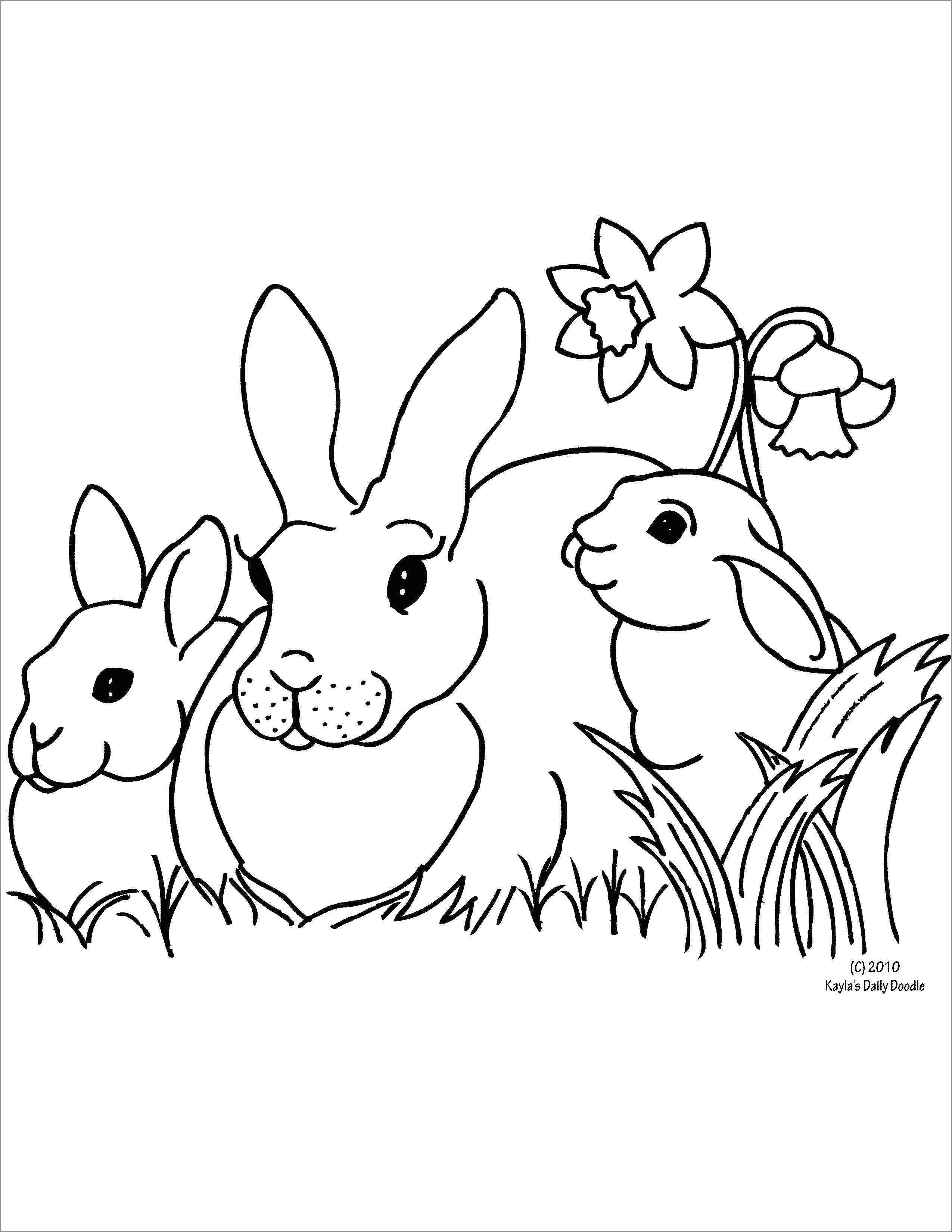 Rabbit Family Coloring Page