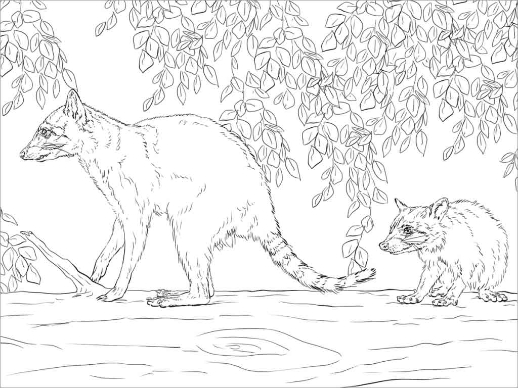 Raccoon Moms and Baby Coloring Page