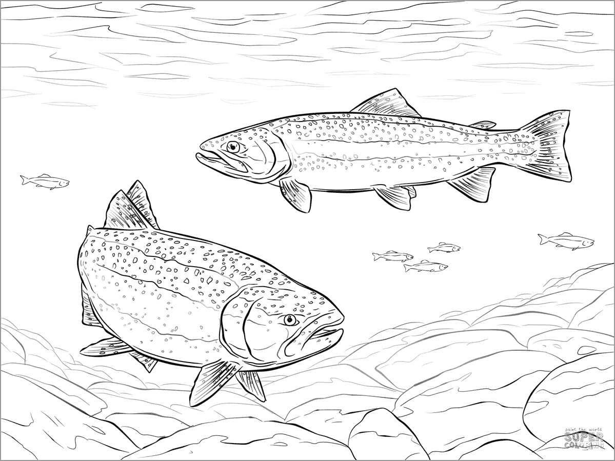Rainbow Trouts Coloring Page