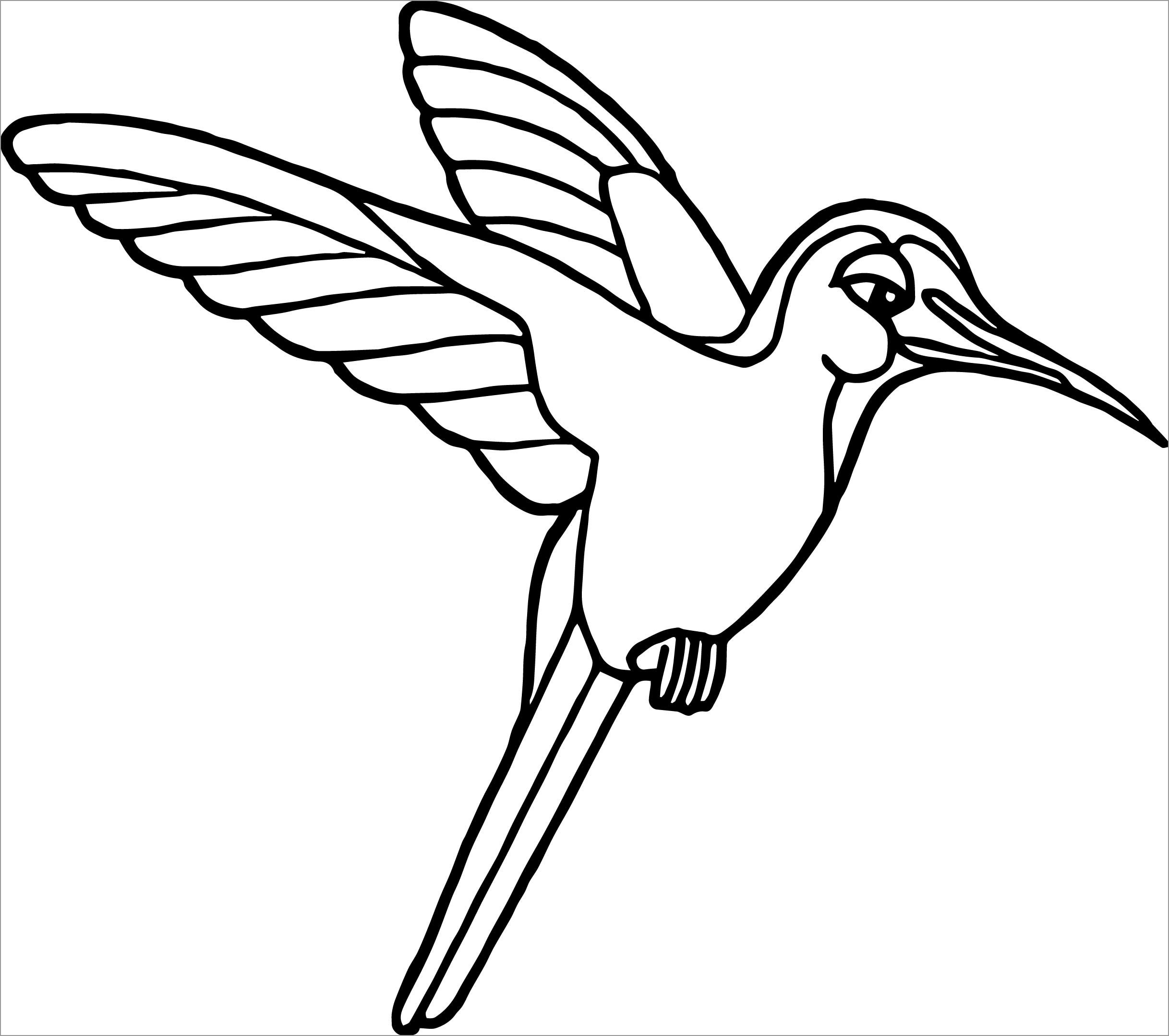 Rainforest Bird Coloring Pages