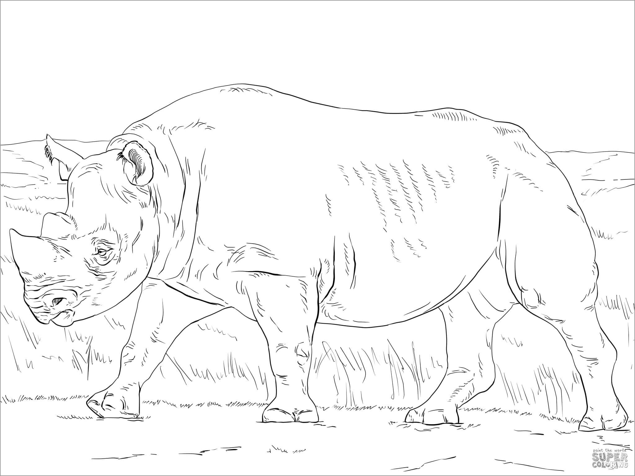 Realistic African Black Rhinoceros Coloring Page