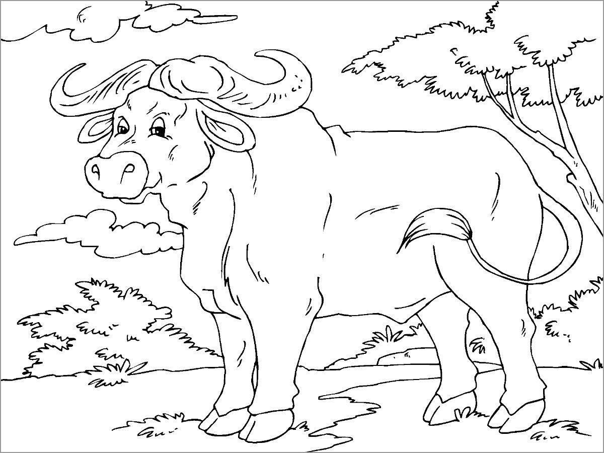 Realistic African Buffalo Coloring Page