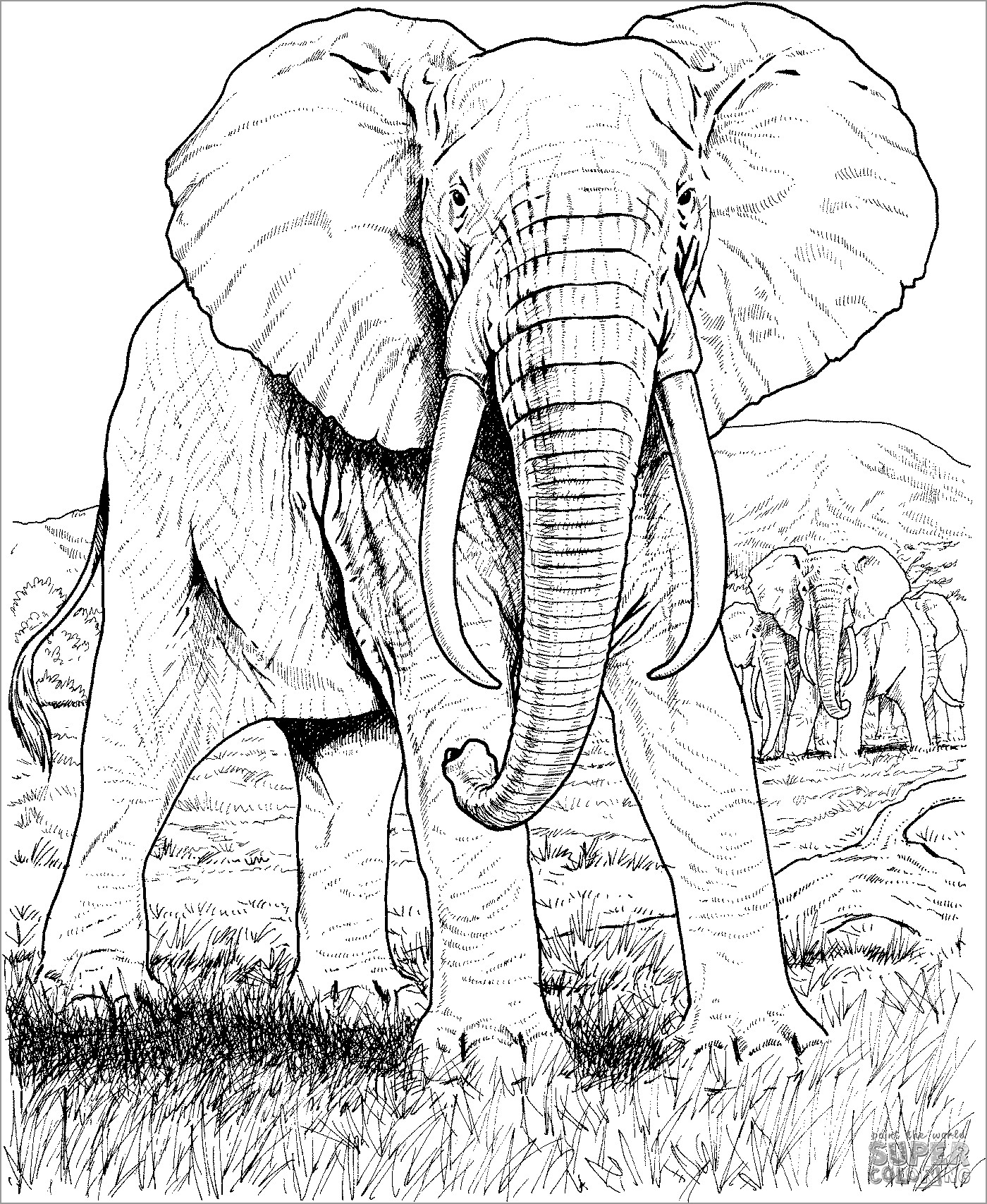 Realistic African Elephant Coloring Pages