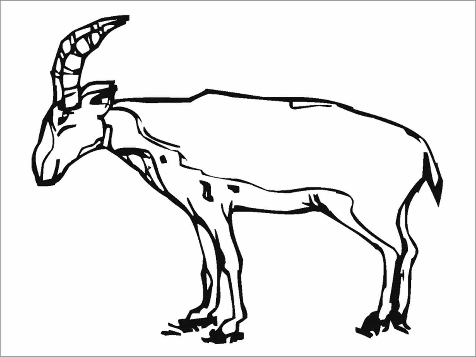 Realistic Antelope Coloring Page