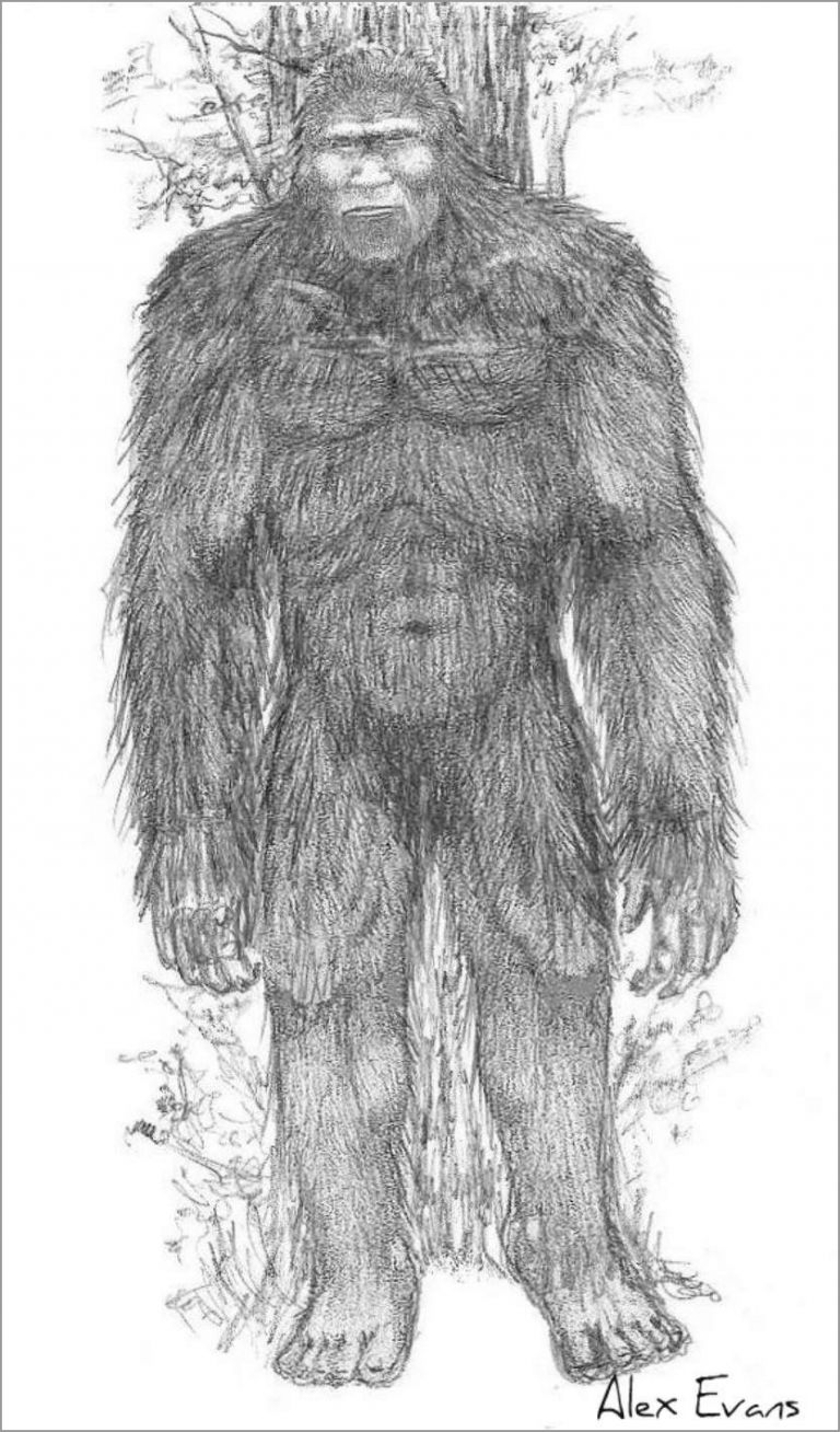 Cute Bigfoot Coloring Page ColoringBay