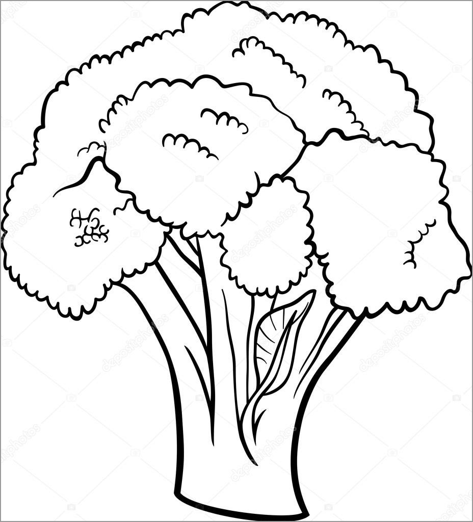 Broccoli Coloring Pages - ColoringBay