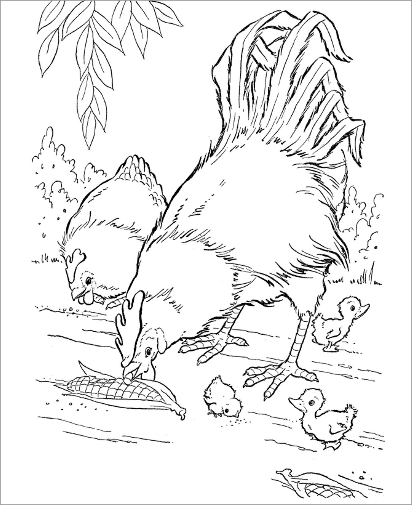 Chicken Coloring Pages - ColoringBay