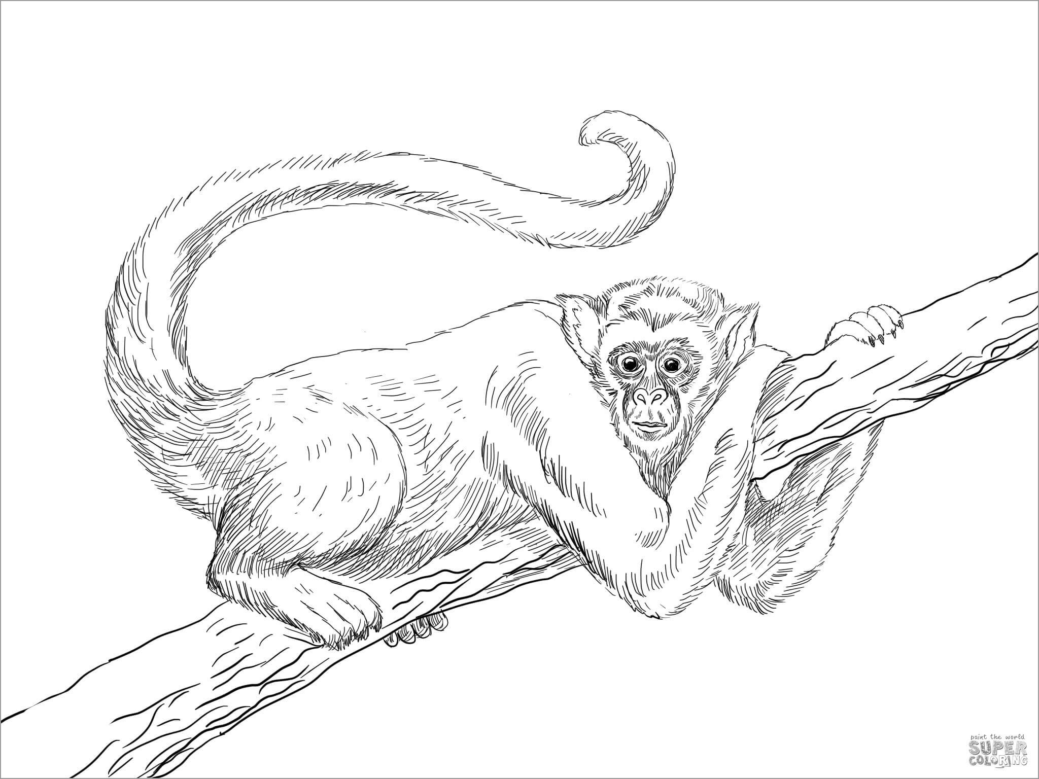 Chimpanzee Coloring Pages