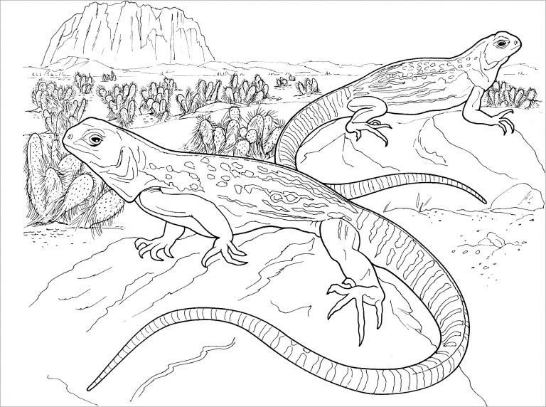 realistic-desert-lizard-coloring-pages-coloringbay