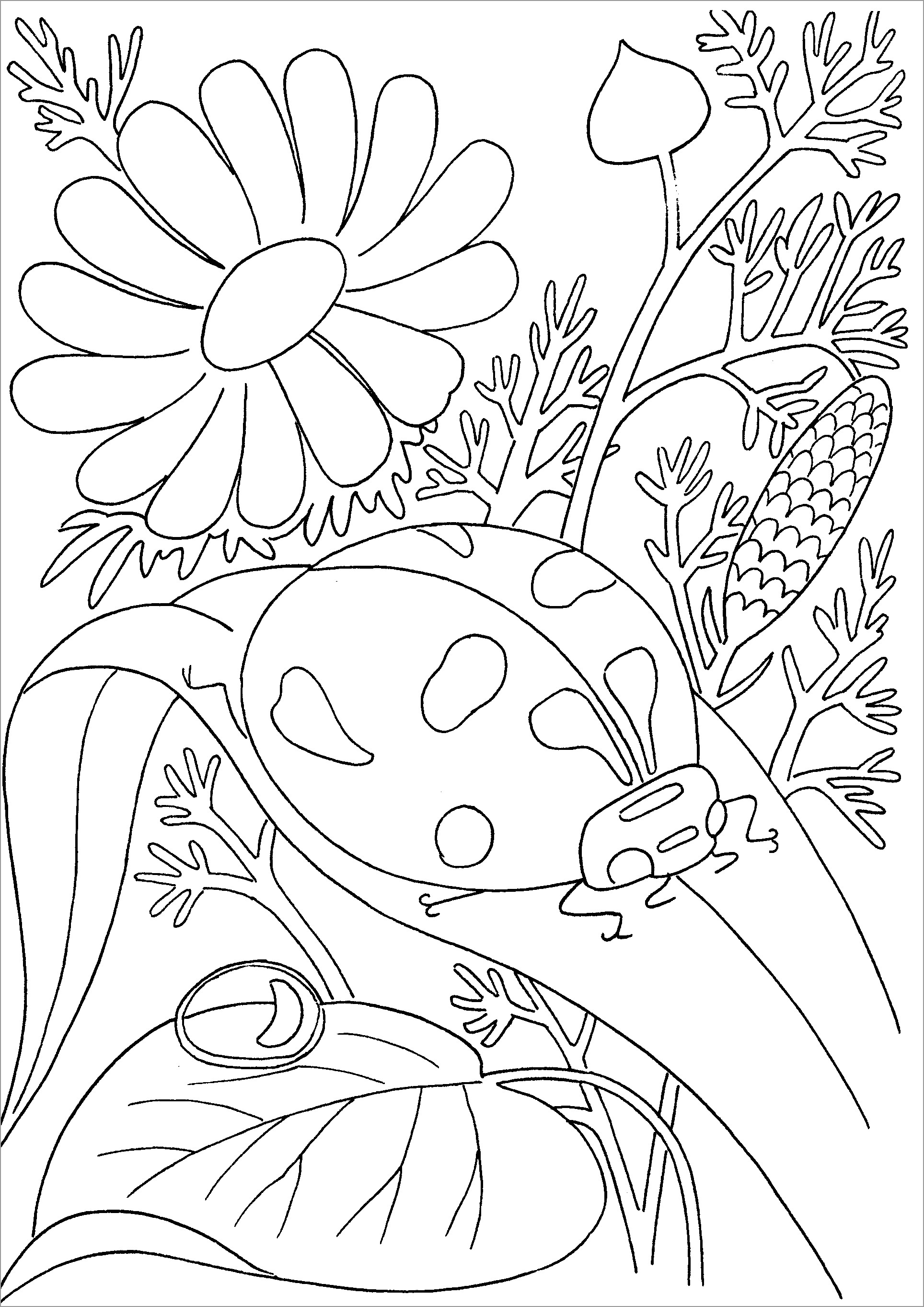 Realistic Insect Coloring Pages
