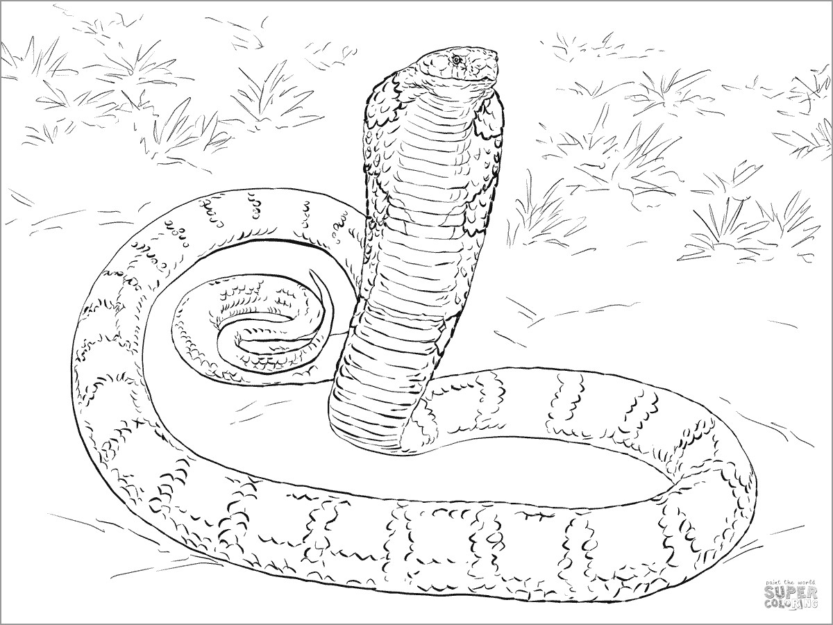 Realistic King Cobra Coloring Page