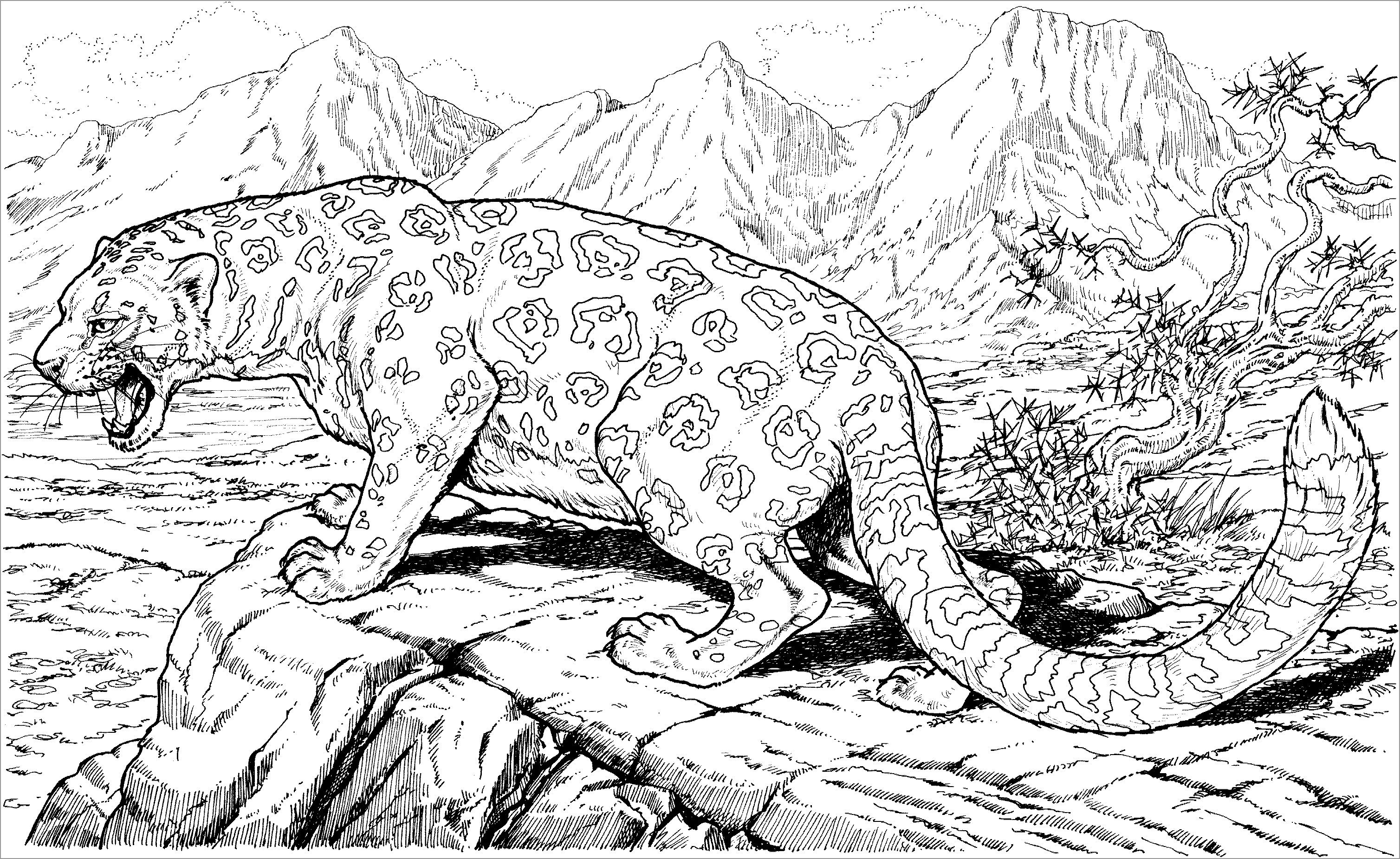 Leopard Coloring Pages - ColoringBay