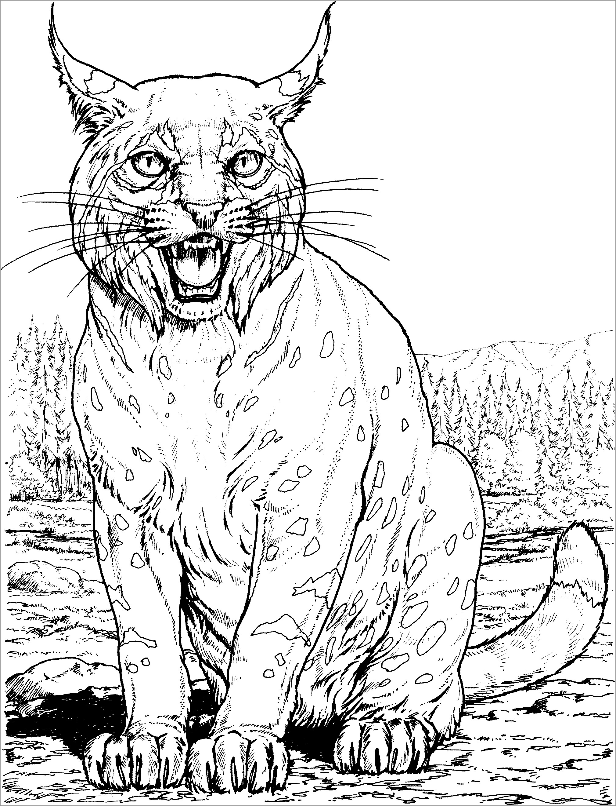 Realistic Lynx Big Cat Coloring Page