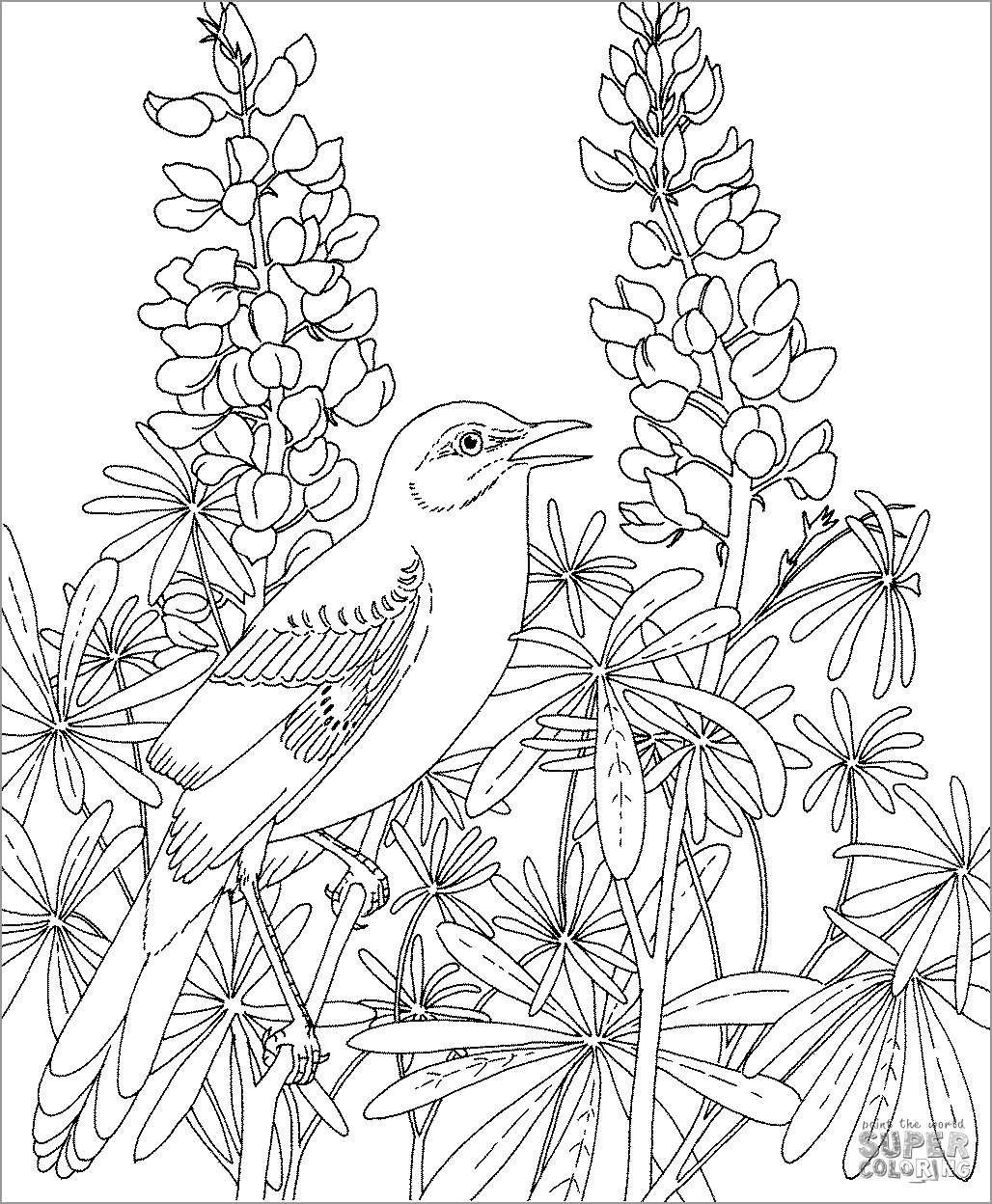 Realistic Mockingbird Coloring Page