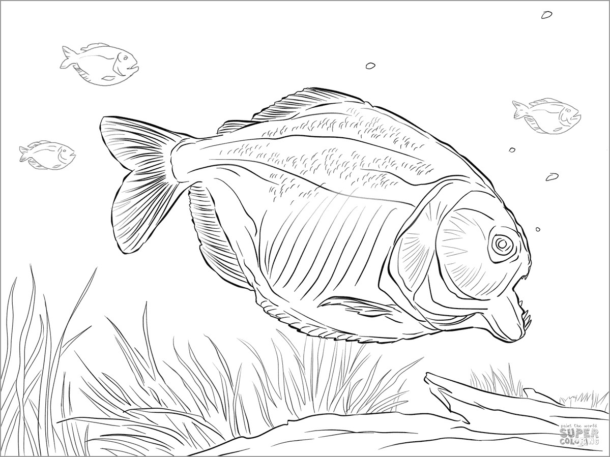 Realistic Piranha Coloring Page