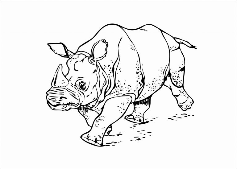 Realistic Rhino Coloring Page for Kids - ColoringBay