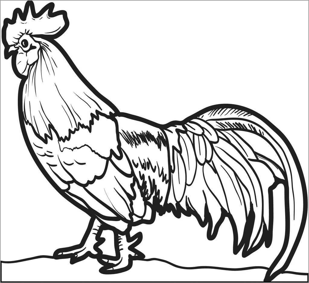 Realistic Rooster Coloring Page for Kids