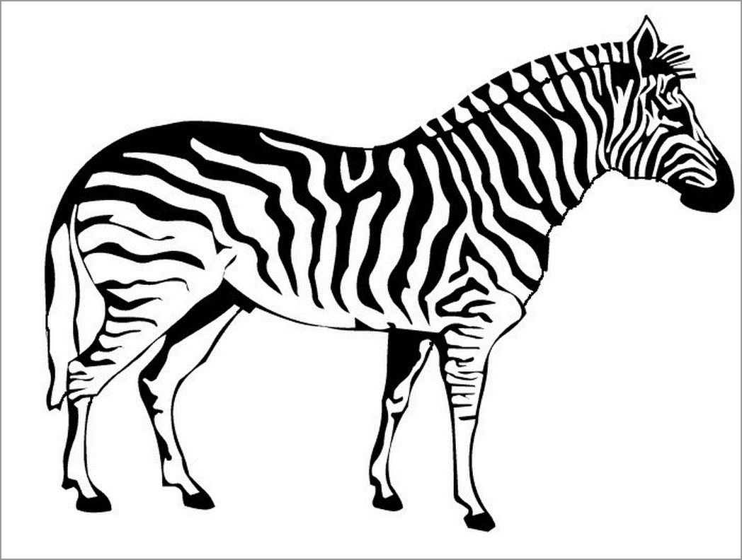 Realistic Zebra Coloring Page for Kids