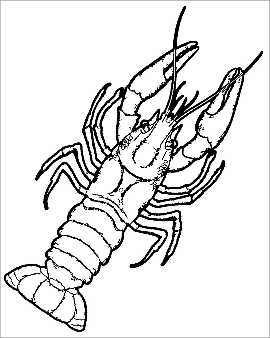 Lobster Coloring Pages - ColoringBay