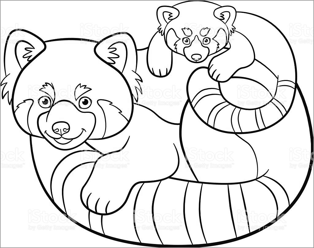 Red Panda Coloring Page for Kids