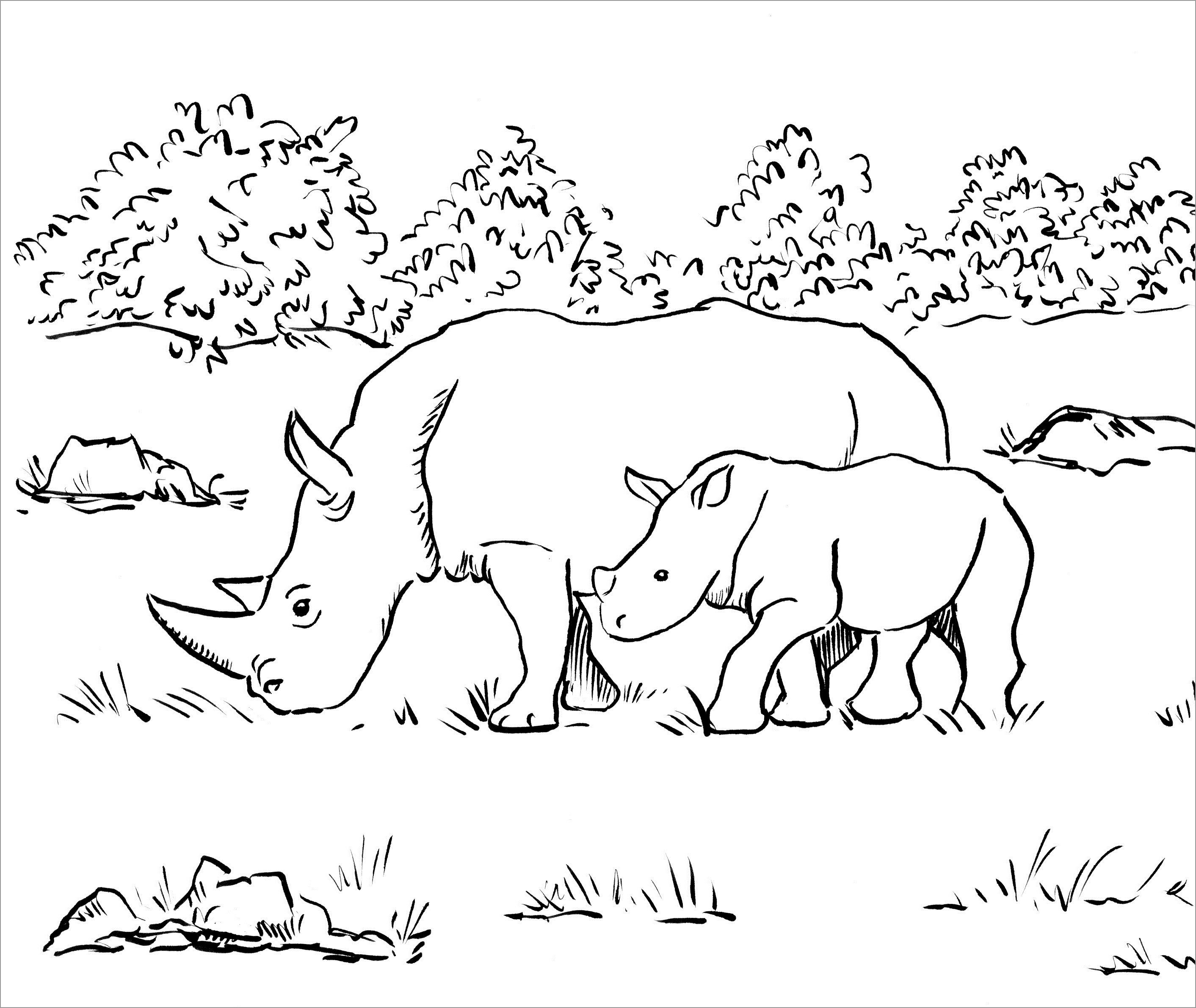 Rhino Baby and Mom Coloring Pages for Kids   ColoringBay