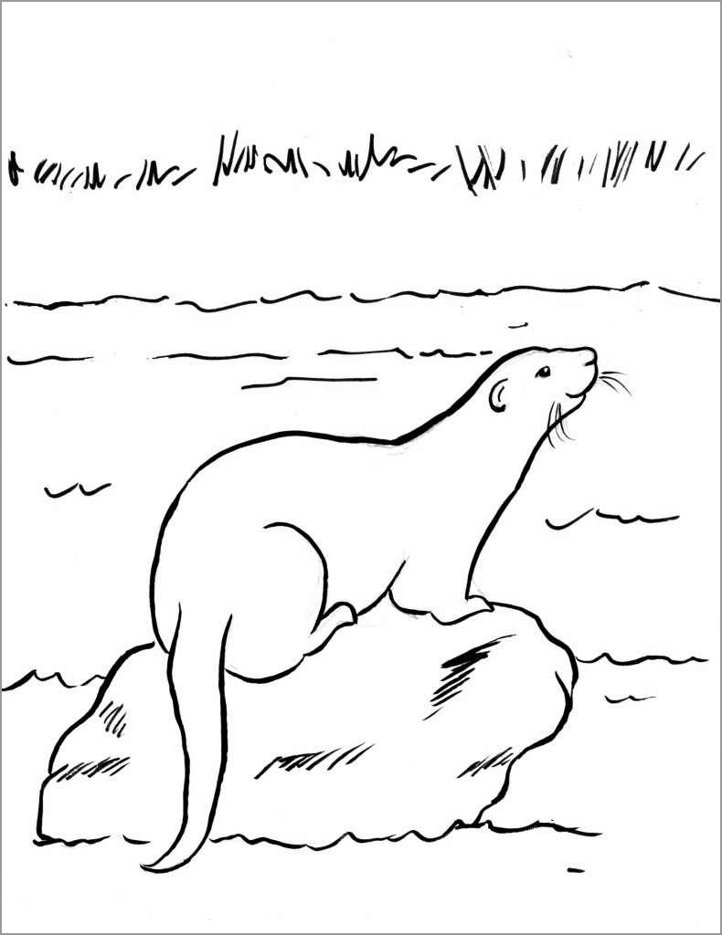River Otter Coloring Page