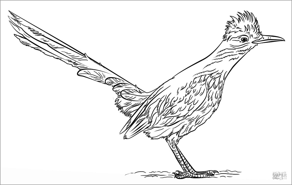 Roadrunner Coloring Page to Print