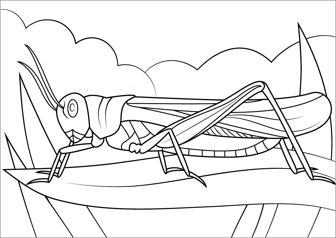 Rocky Mountain Locust Coloring Page
