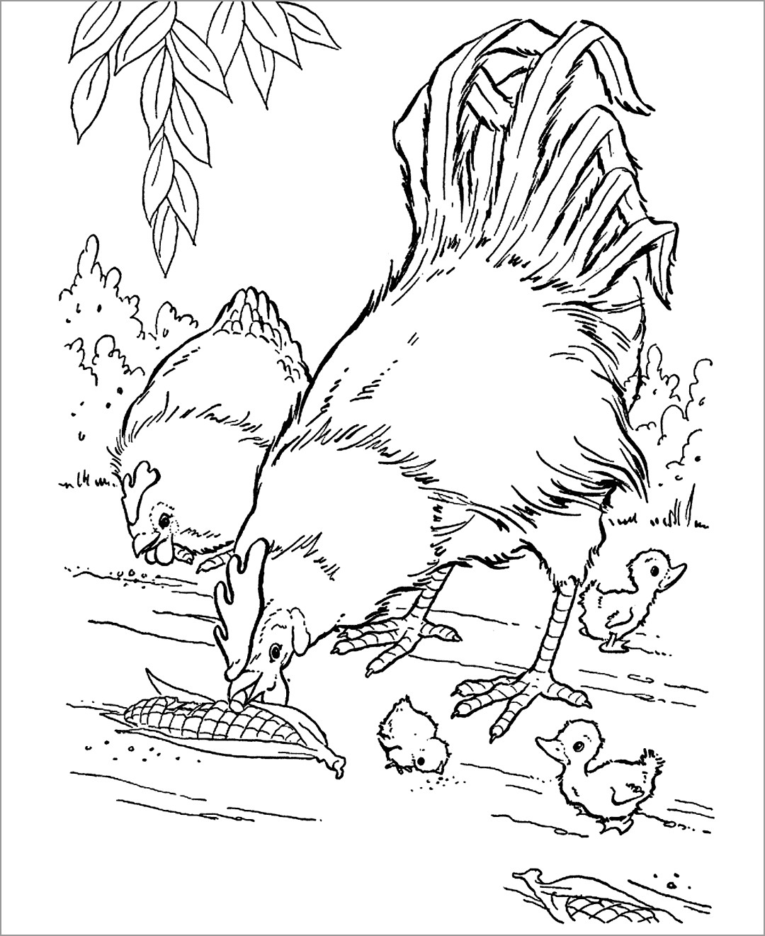 Rooster and Chicks Coloring Page