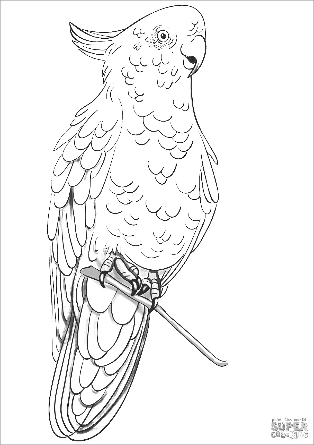 Rose Breasted Cockatoo Coloring Page