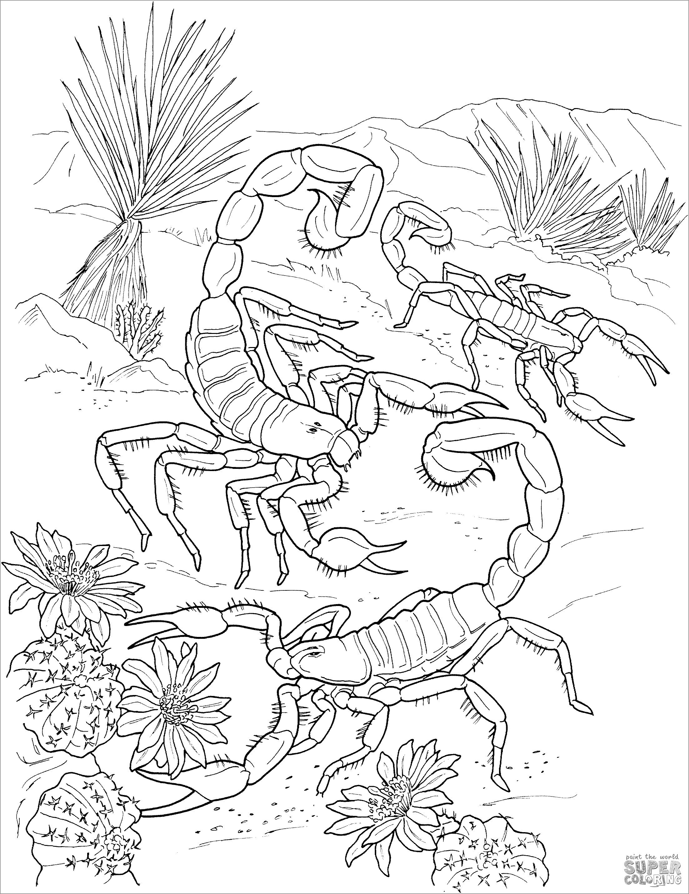 Scorpion Dangerous Animals Coloring Page   ColoringBay