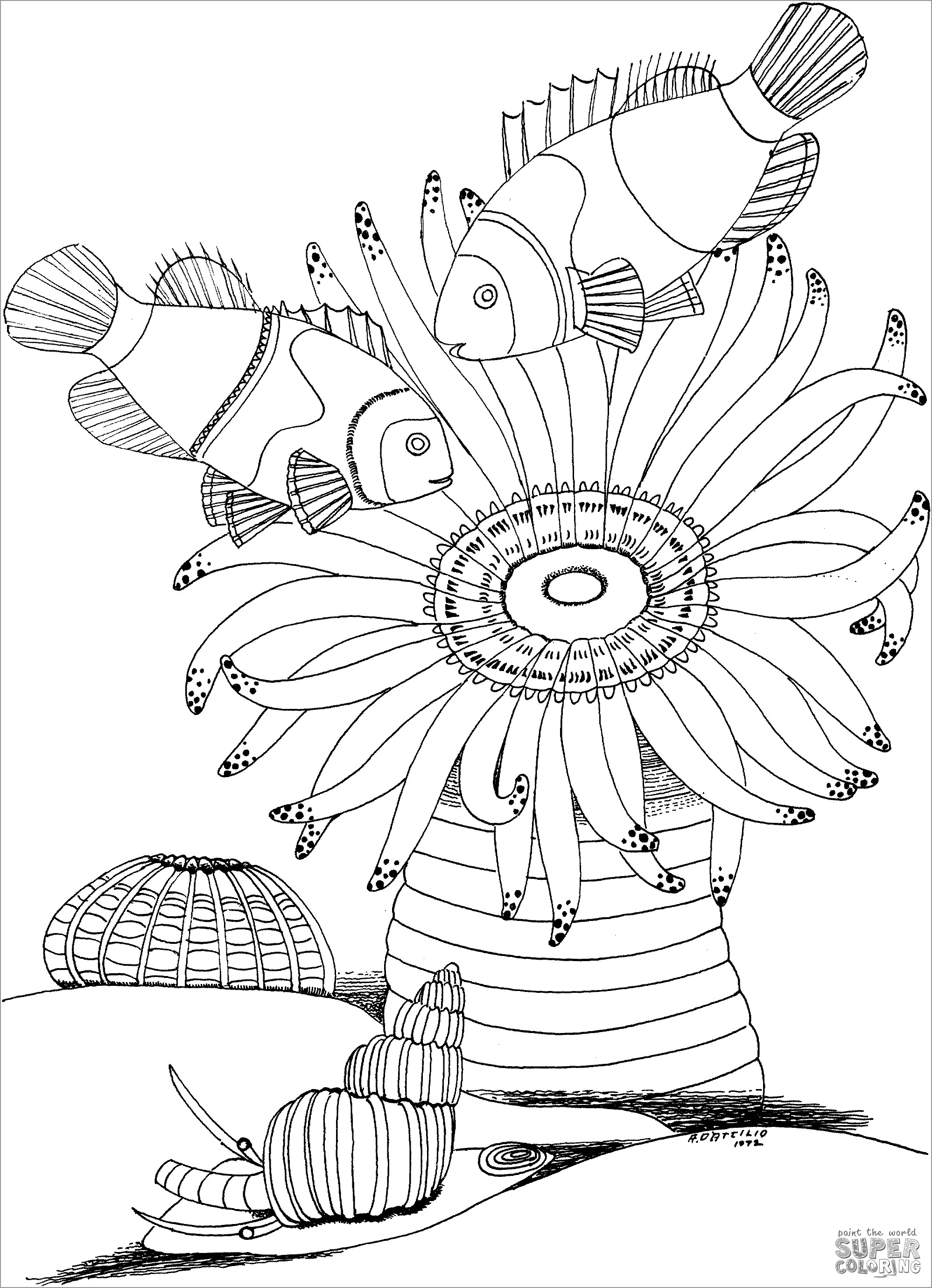 Sea Anemone and Snail Coloring Page