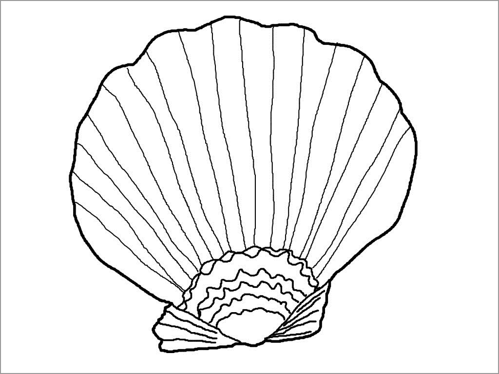 Sea Shell Coloring Pages for Preschoolers