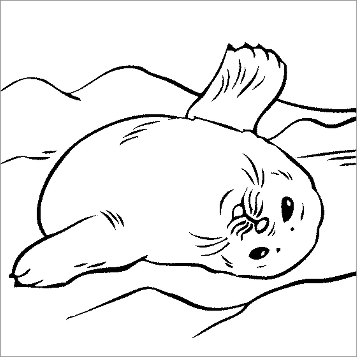 Seal Coloring Page to Print