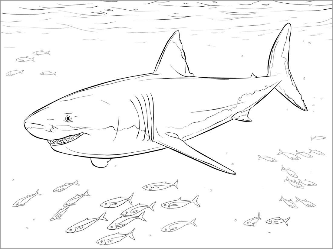 The Best Daddy Shark Coloring Page Updated - Printable Nature Coloring